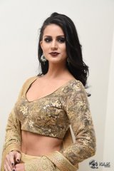 Larissa Bonesi at Thikka Movie Audio Launch